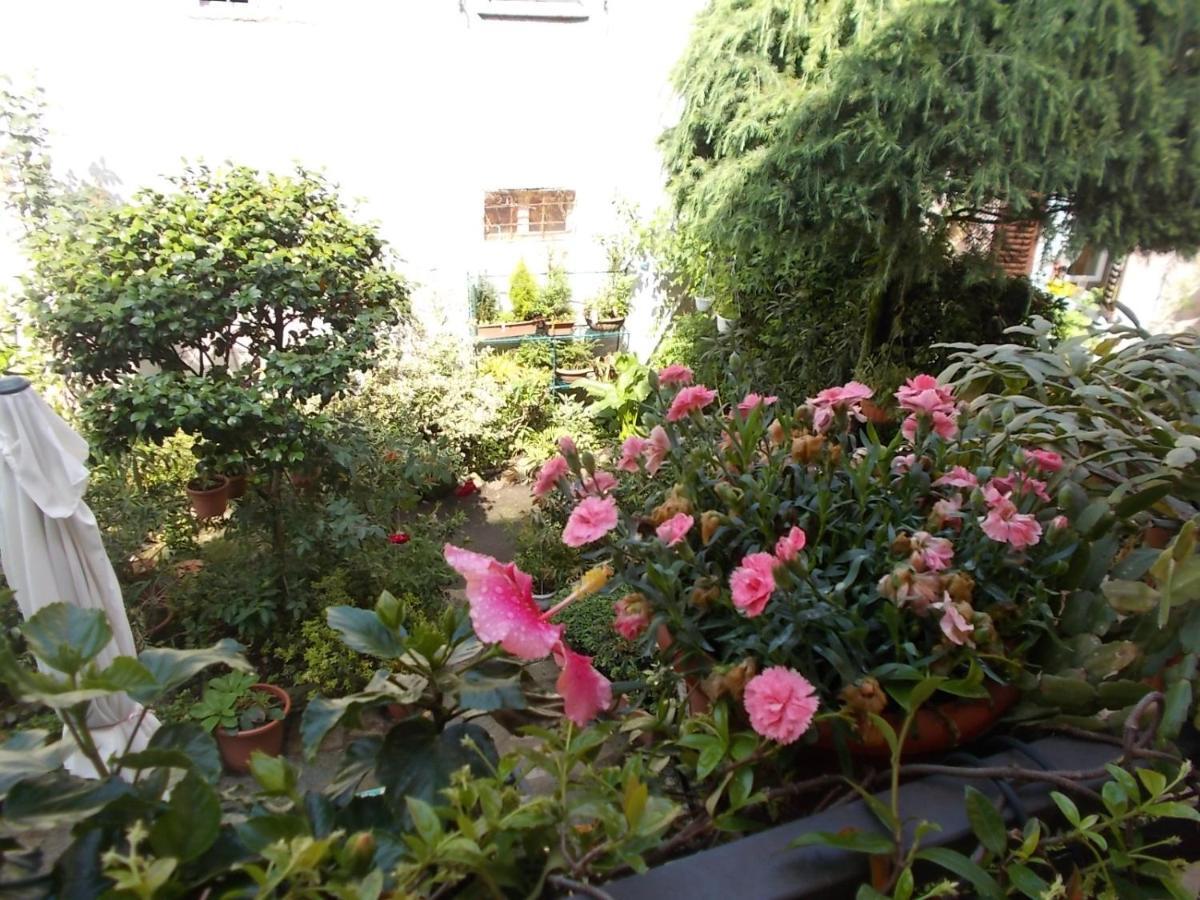 B&B Zia Lina Dongo Exterior foto